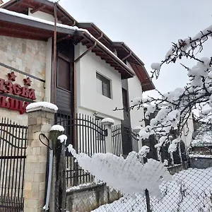 Otel Bizev